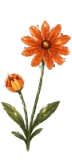 Çiçek 1